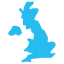 Coverage icon